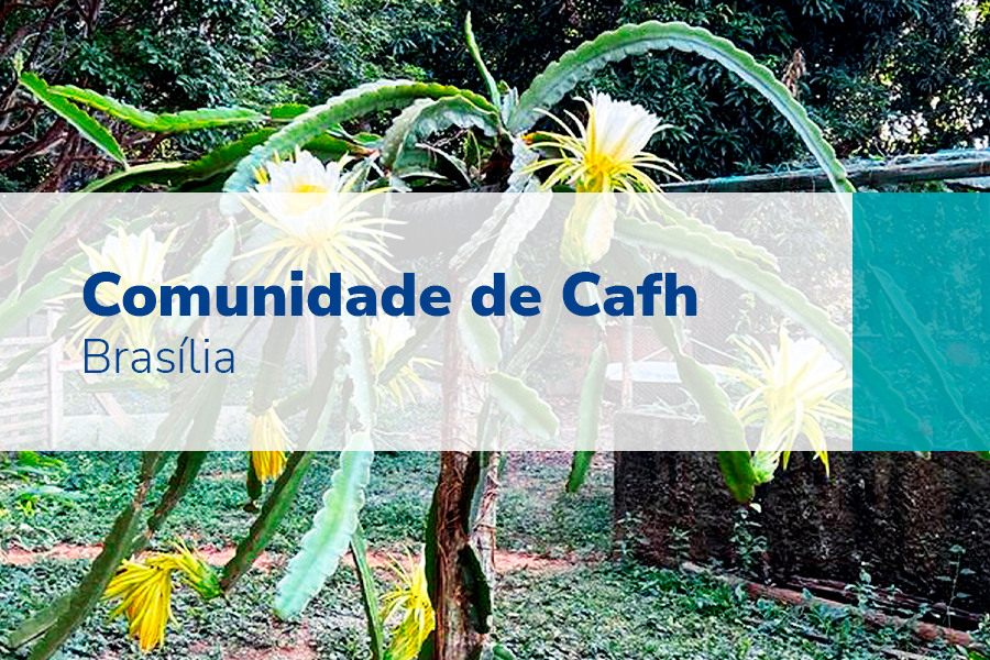 Comunidade de Cafh – Brasília
