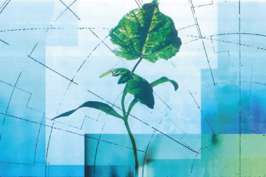 desenvolvimentoespiritual