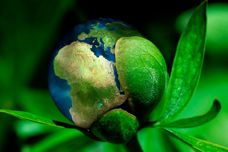 economiaprovidencial