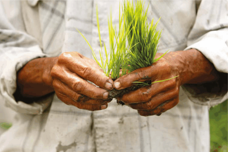 uma_nova_economia_do_amor